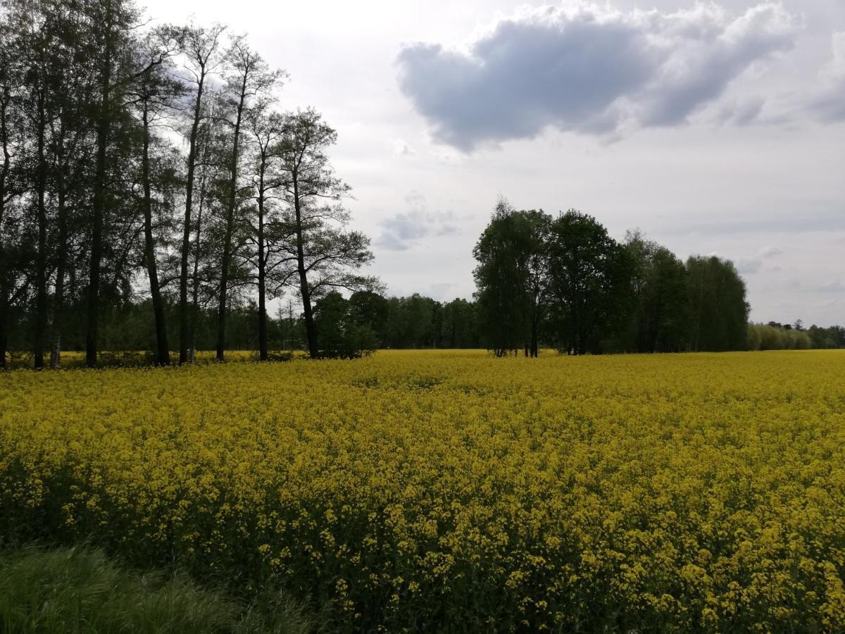 מלון בורג Am Waldrand Spreewald מראה חיצוני תמונה